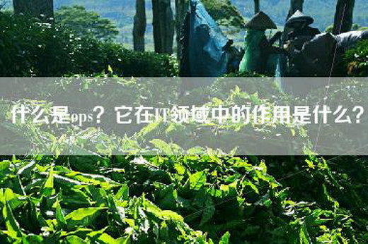 什么是ops？它在IT领域中的作用是什么？