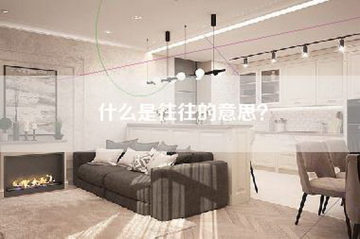 什么是往往的意思？