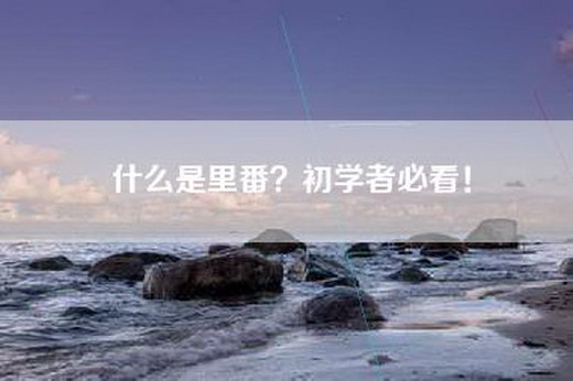 什么是里番？初学者必看！
