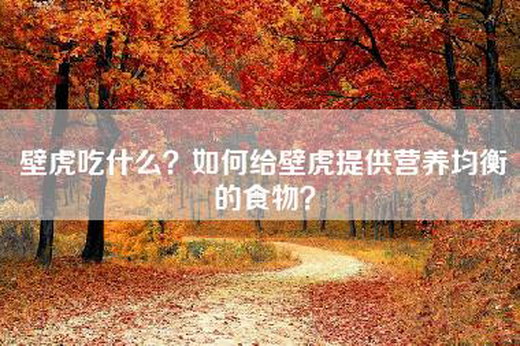 壁虎吃什么？如何给壁虎提供营养均衡的食物？