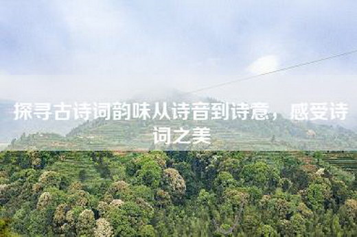 探寻古诗词韵味从诗音到诗意，感受诗词之美