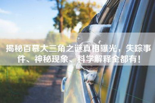 揭秘百慕大三角之谜真相曝光，失踪事件、神秘现象、科学解释全都有！
