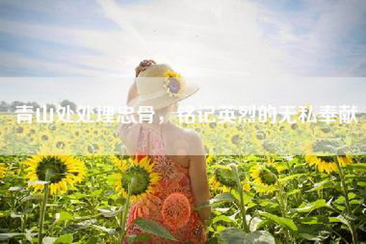 青山处处埋忠骨，铭记英烈的无私奉献