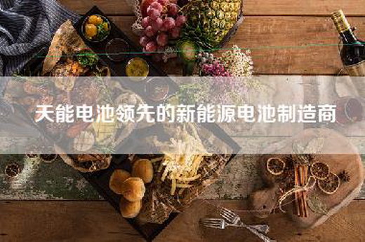 天能电池领先的新能源电池制造商