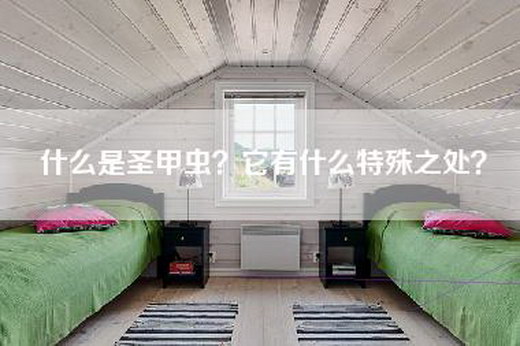 什么是圣甲虫？它有什么特殊之处？