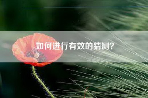 如何进行有效的猜测？