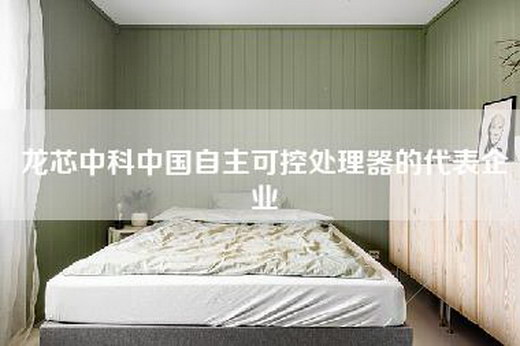 龙芯中科中国自主可控处理器的代表企业