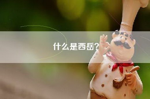 什么是西岳？