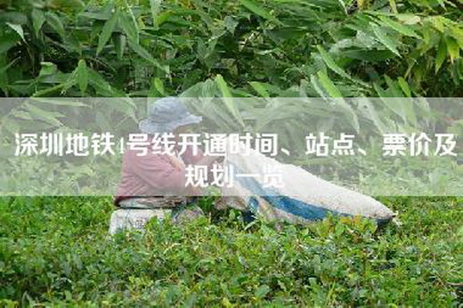 深圳地铁4号线开通时间、站点、票价及规划一览