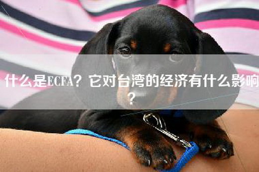 什么是ECFA？它对台湾的经济有什么影响？