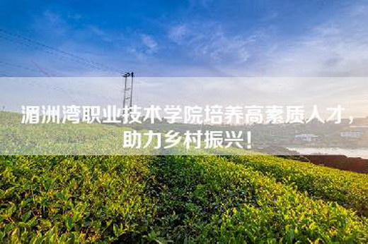 湄洲湾职业技术学院培养高素质人才，助力乡村振兴！