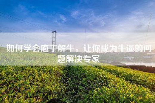 如何学会庖丁解牛，让你成为牛逼的问题解决专家