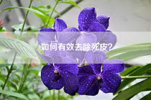 如何有效去除死皮？