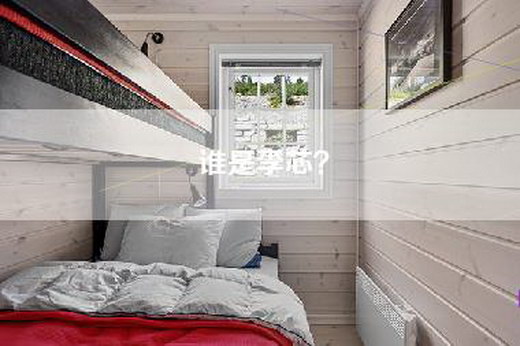 谁是李芯？