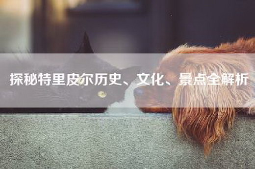 探秘特里皮尔历史、文化、景点全解析