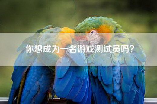 你想成为一名游戏测试员吗？