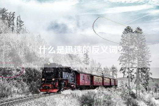 什么是迅速的反义词？