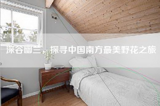 深谷幽兰，探寻中国南方最美野花之旅
