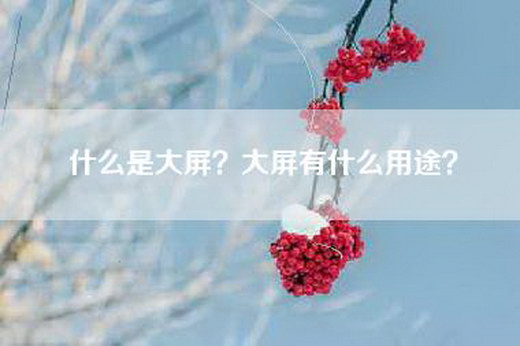 什么是大屏？大屏有什么用途？