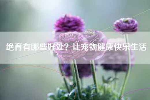 绝育有哪些好处？让宠物健康快乐生活
