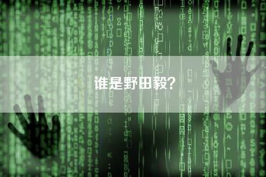 谁是野田毅？