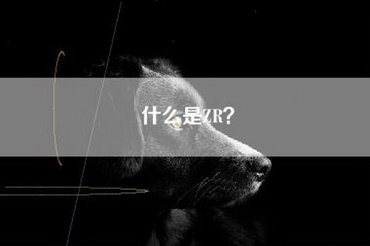 什么是ZR？