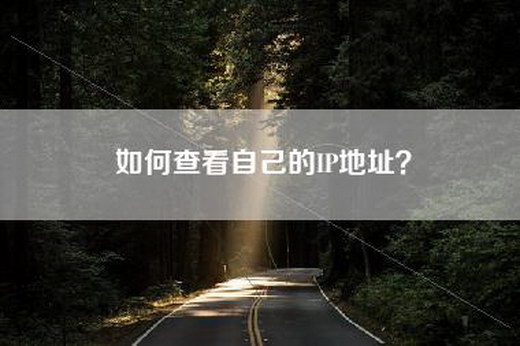 如何查看自己的IP地址？