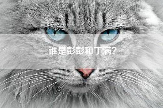谁是彭彭和丁满？