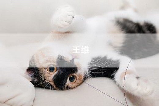 王维