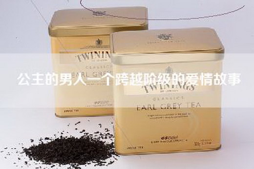 公主的男人一个跨越阶级的爱情故事