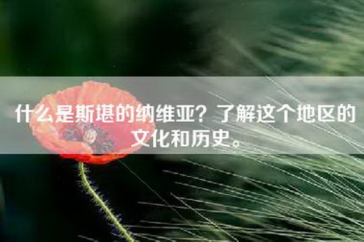 什么是斯堪的纳维亚？了解这个地区的文化和历史。