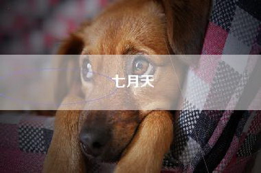 七月天
