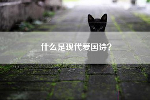 什么是现代爱国诗？