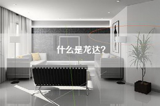 什么是龙达？