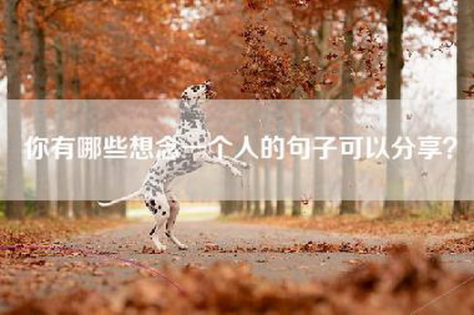 你有哪些想念一个人的句子可以分享？