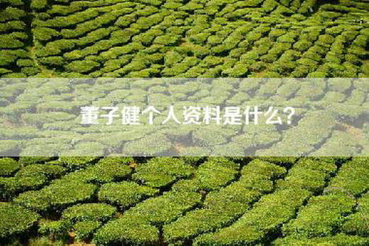 董子健个人资料是什么？