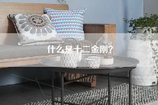 什么是十二金刚？