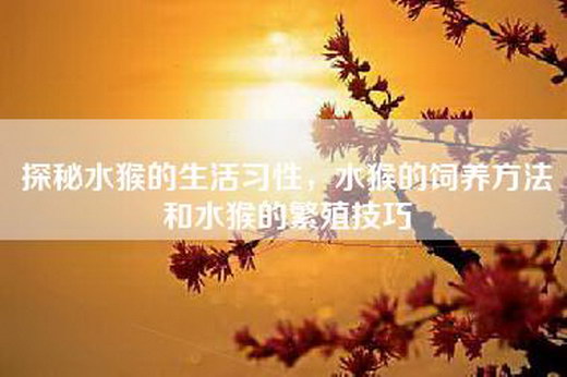 探秘水猴的生活习性，水猴的饲养方法和水猴的繁殖技巧