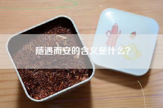 随遇而安的含义是什么？