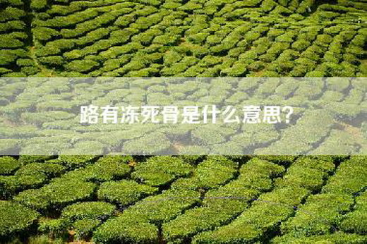 路有冻死骨是什么意思？