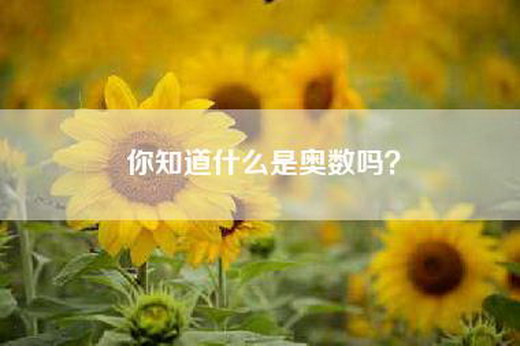 你知道什么是奥数吗？
