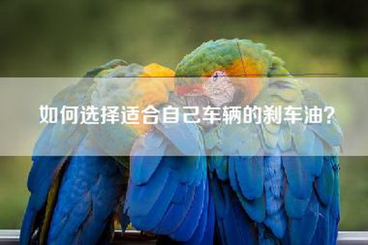 如何选择适合自己车辆的刹车油？