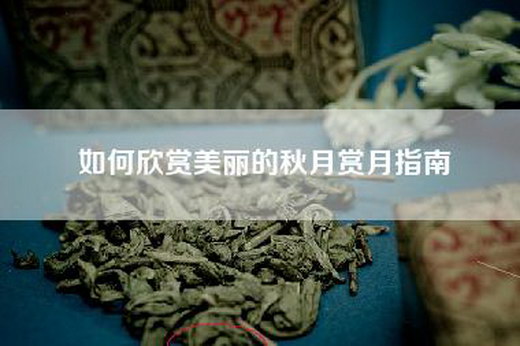如何欣赏美丽的秋月赏月指南