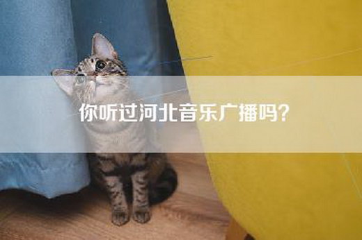 你听过河北音乐广播吗？
