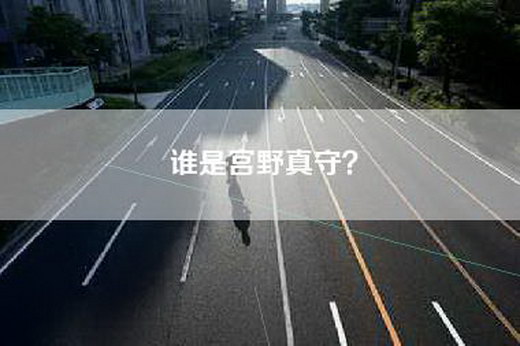 谁是宫野真守？