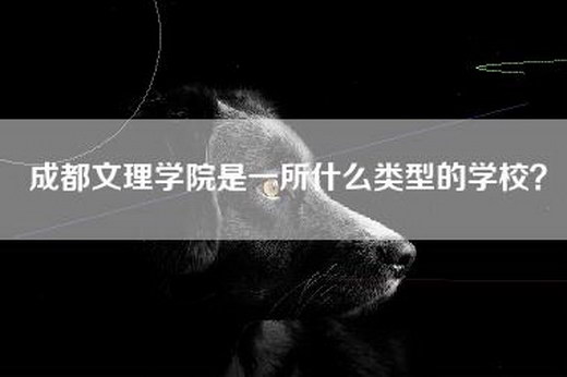 成都文理学院是一所什么类型的学校？