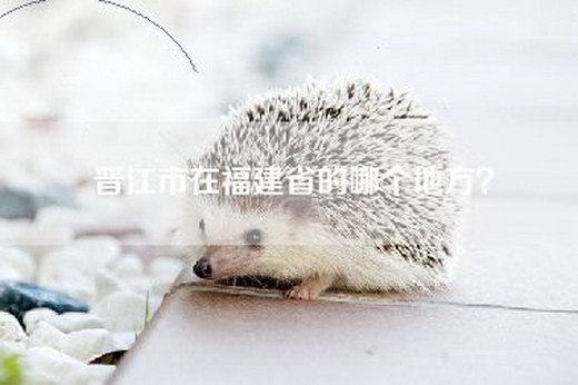 晋江市在福建省的哪个地方？
