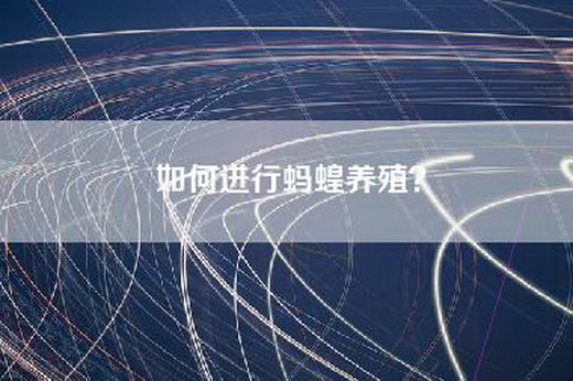 如何进行蚂蝗养殖？