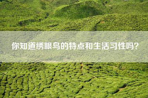 你知道绣眼鸟的特点和生活习性吗？