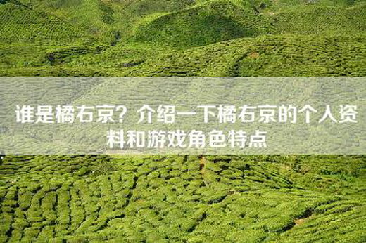 谁是橘右京？介绍一下橘右京的个人资料和游戏角色特点